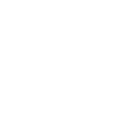 SPC WHITE LOGO (256 x 256 px) SPC WHITE LOGO (256 x 256 px)