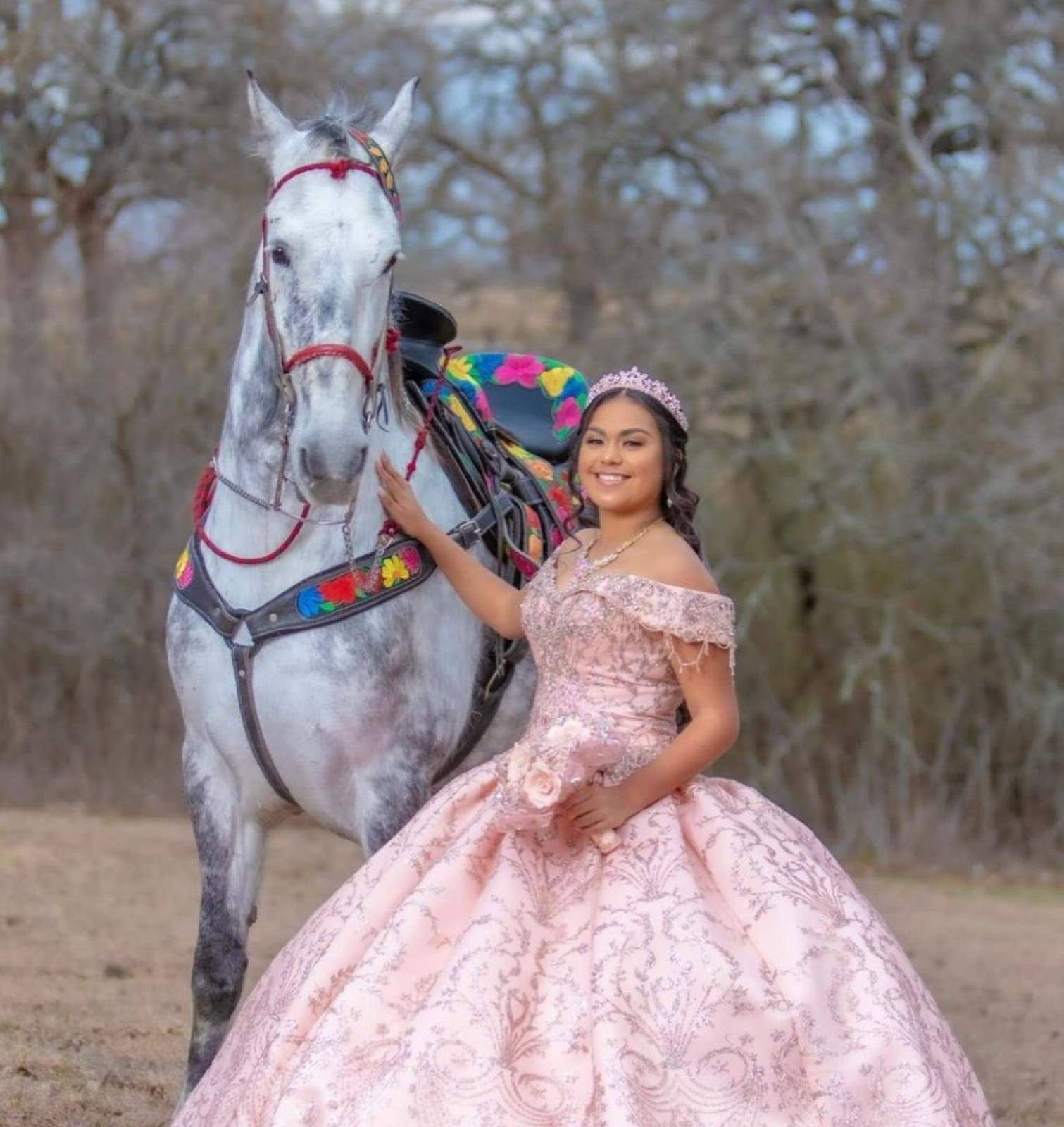 Young woman in a pink quinceañera gown and tiara standing beside a gray horse