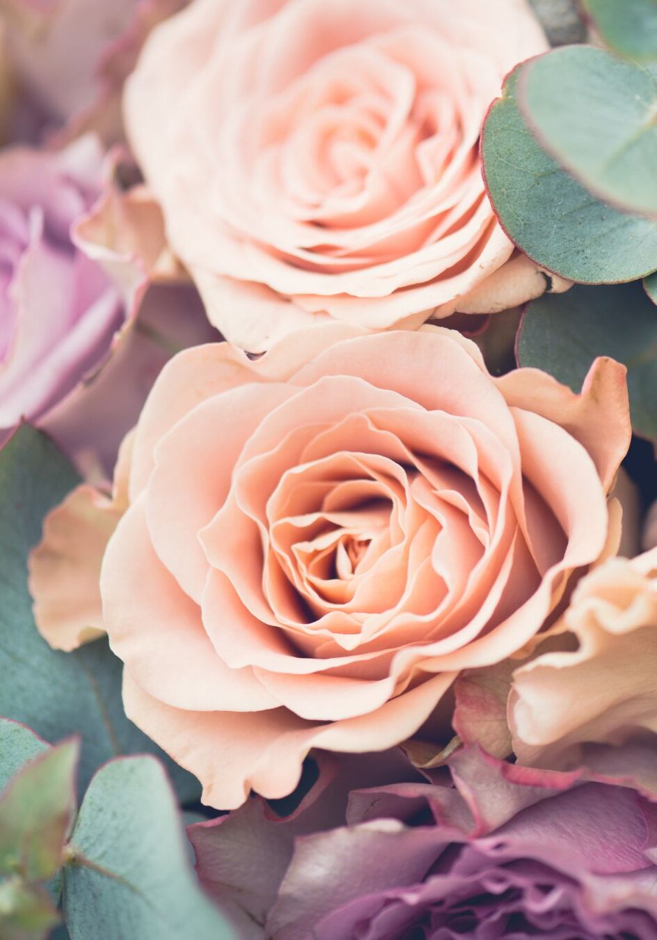 Untitled design Blush and lavender roses with eucalyptus